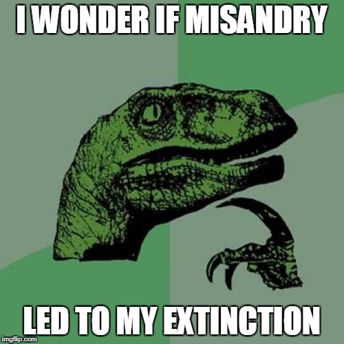Philosoraptor Meme | I WONDER IF MISANDRY LED TO MY EXTINCTION | image tagged in memes,philosoraptor | made w/ Imgflip meme maker