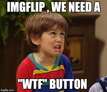 IMGFLIP , WE NEED A "WTF" BUTTON | image tagged in wtf kid | made w/ Imgflip meme maker