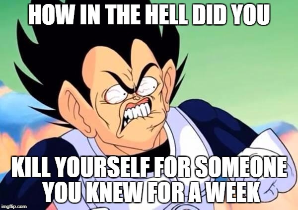 Vegeta is Pissed | HOW IN THE HELL DID YOU; KILL YOURSELF FOR SOMEONE YOU KNEW FOR A WEEK | image tagged in vegeta is pissed | made w/ Imgflip meme maker