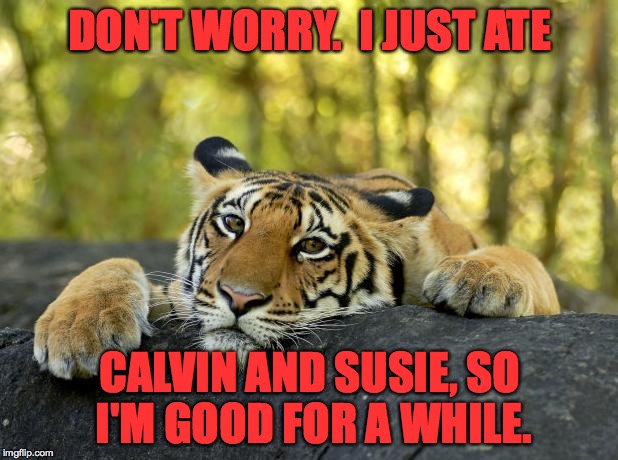 Happy Thanksgiving from all of us non-Vegans! | DON'T WORRY.  I JUST ATE CALVIN AND SUSIE, SO I'M GOOD FOR A WHILE. | image tagged in memes,tiger,happy thanksgiving,vegan | made w/ Imgflip meme maker