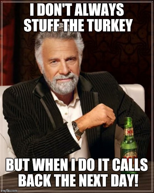 The Most Interesting Man In The World | I DON'T ALWAYS STUFF THE TURKEY; BUT WHEN I DO IT CALLS BACK THE NEXT DAY! | image tagged in memes,the most interesting man in the world | made w/ Imgflip meme maker