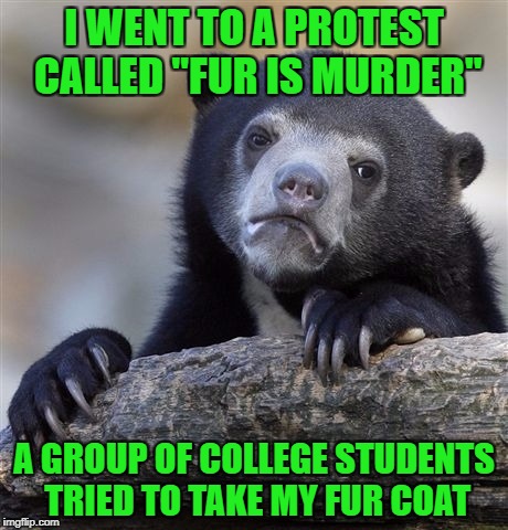 When Good Intentions And Stupidity Collide | I WENT TO A PROTEST CALLED "FUR IS MURDER"; A GROUP OF COLLEGE STUDENTS TRIED TO TAKE MY FUR COAT | image tagged in memes,confession bear,fur,protest,murder | made w/ Imgflip meme maker