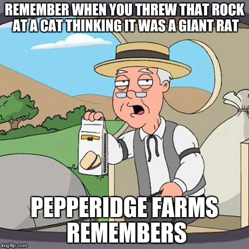 Pepperidge Farm Remembers Meme | REMEMBER WHEN YOU THREW THAT ROCK AT A CAT THINKING IT WAS A GIANT RAT; PEPPERIDGE FARMS REMEMBERS | image tagged in memes,pepperidge farm remembers | made w/ Imgflip meme maker