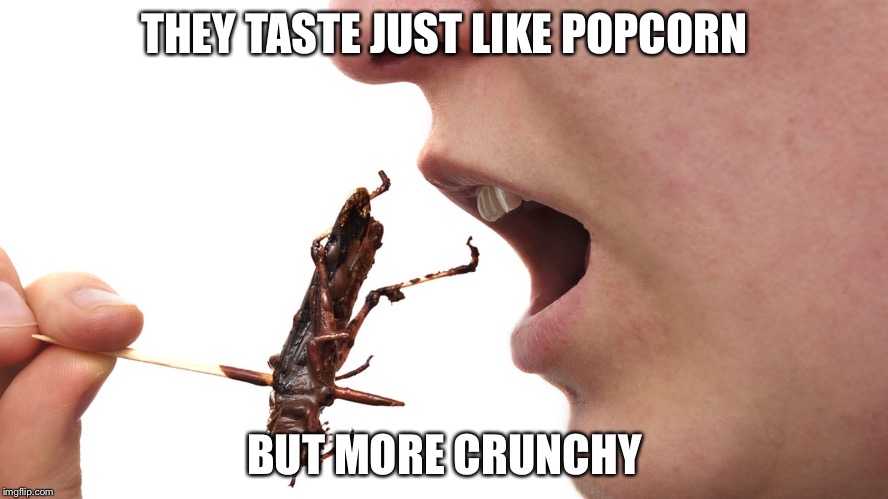 THEY TASTE JUST LIKE POPCORN BUT MORE CRUNCHY | made w/ Imgflip meme maker