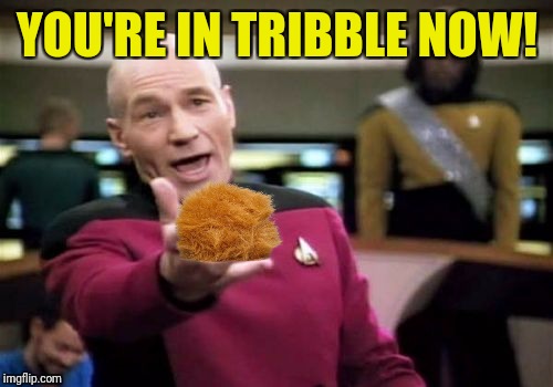 Picard Wtf Meme | YOU'RE IN TRIBBLE NOW! | image tagged in memes,picard wtf | made w/ Imgflip meme maker