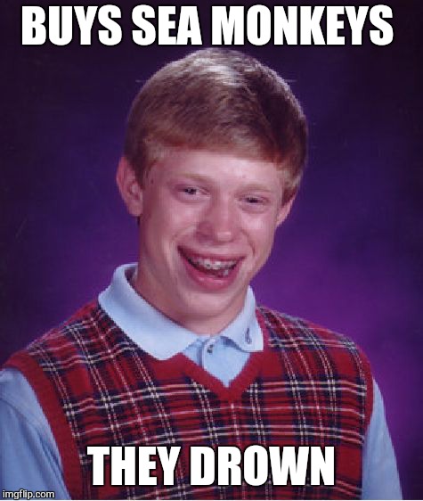 Bad Luck Brian Meme | BUYS SEA MONKEYS; THEY DROWN | image tagged in memes,bad luck brian,anonymous meme week,sea monkeys | made w/ Imgflip meme maker