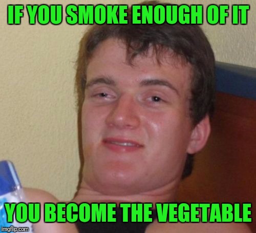 10 Guy Meme | IF YOU SMOKE ENOUGH OF IT YOU BECOME THE VEGETABLE | image tagged in memes,10 guy | made w/ Imgflip meme maker