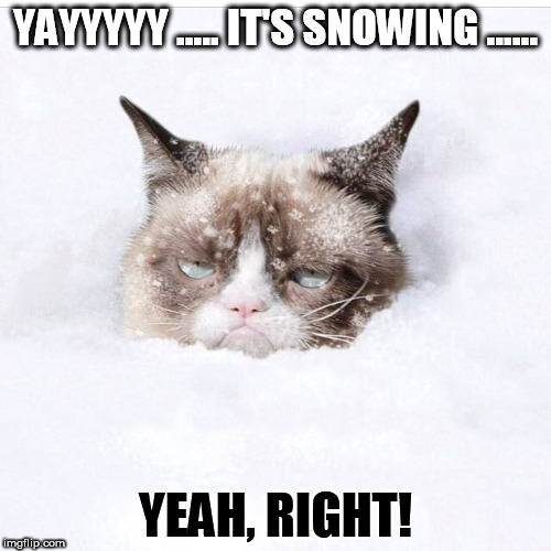 Grumpy Cat snow | YAYYYYY ..... IT'S SNOWING ...... YEAH, RIGHT! | image tagged in grumpy cat snow | made w/ Imgflip meme maker