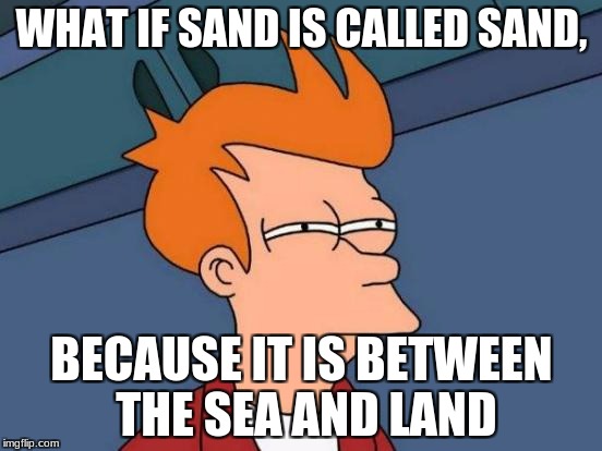 Futurama Fry | WHAT IF SAND IS CALLED SAND, BECAUSE IT IS BETWEEN THE SEA AND LAND | image tagged in memes,futurama fry | made w/ Imgflip meme maker