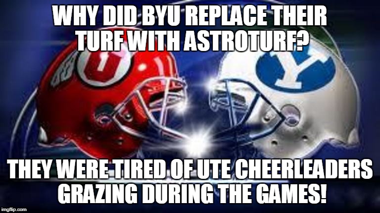 WHY DID BYU REPLACE THEIR TURF WITH ASTROTURF? THEY WERE TIRED OF UTE CHEERLEADERS GRAZING DURING THE GAMES! | image tagged in byu utah | made w/ Imgflip meme maker
