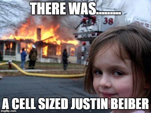Disaster Girl Meme | THERE WAS......... A CELL SIZED JUSTIN BEIBER | image tagged in memes,disaster girl | made w/ Imgflip meme maker