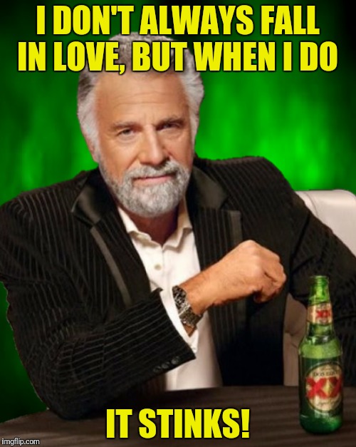 I DON'T ALWAYS FALL IN LOVE, BUT WHEN I DO IT STINKS! | made w/ Imgflip meme maker