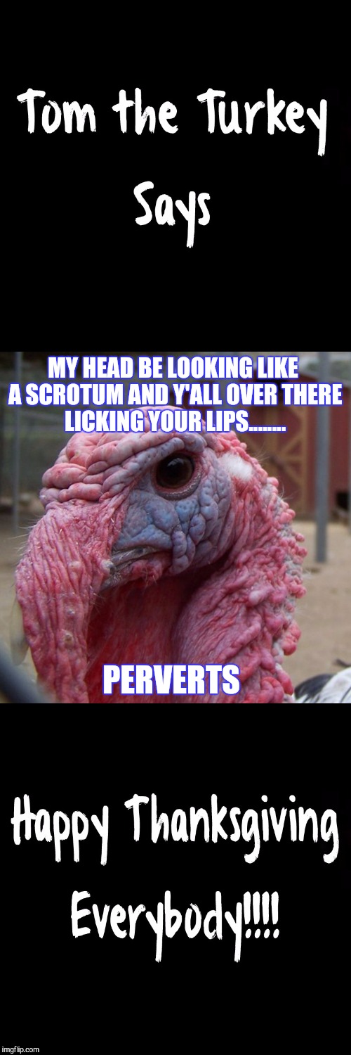 Y'alls nasty!! | MY HEAD BE LOOKING LIKE A SCROTUM AND Y'ALL OVER THERE LICKING YOUR LIPS........ PERVERTS | image tagged in thanksgiving,happy,nasty,funny | made w/ Imgflip meme maker