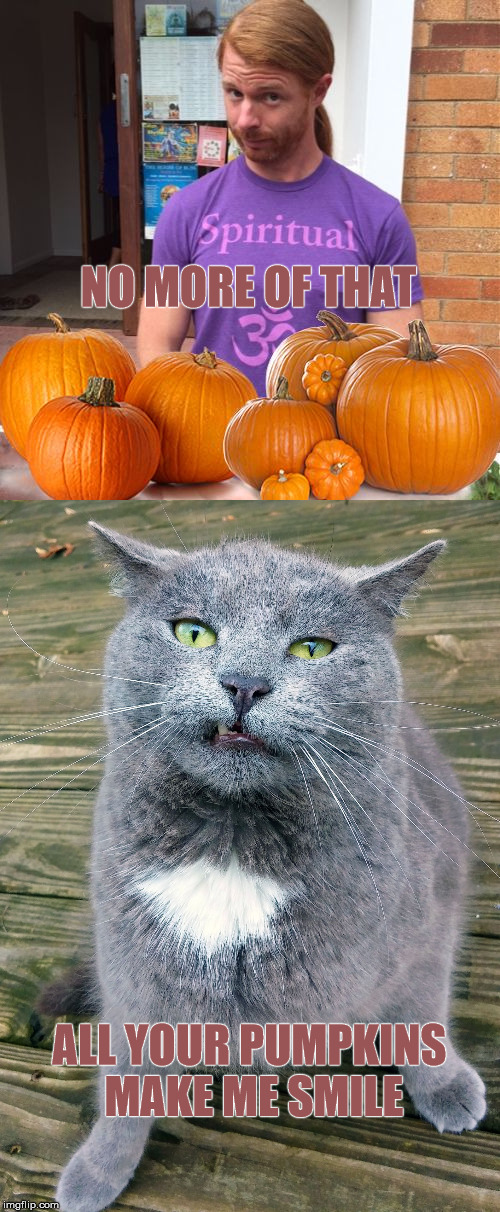 NO MORE OF THAT ALL YOUR PUMPKINS MAKE ME SMILE | made w/ Imgflip meme maker