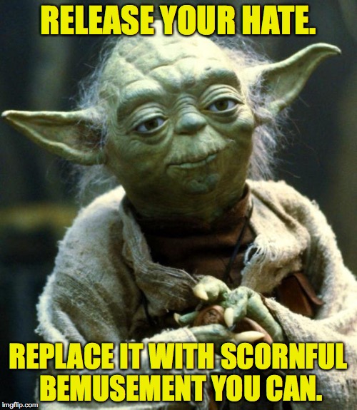 Star Wars Yoda Meme | RELEASE YOUR HATE. REPLACE IT WITH SCORNFUL BEMUSEMENT YOU CAN. | image tagged in memes,star wars yoda | made w/ Imgflip meme maker