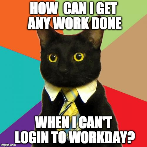 Business Cat Meme | HOW  CAN I GET ANY WORK DONE; WHEN I CAN'T LOGIN TO WORKDAY? | image tagged in memes,business cat | made w/ Imgflip meme maker