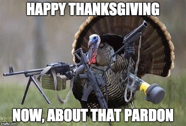 Baked Turkey | HAPPY THANKSGIVING; NOW, ABOUT THAT PARDON | image tagged in baked turkey | made w/ Imgflip meme maker