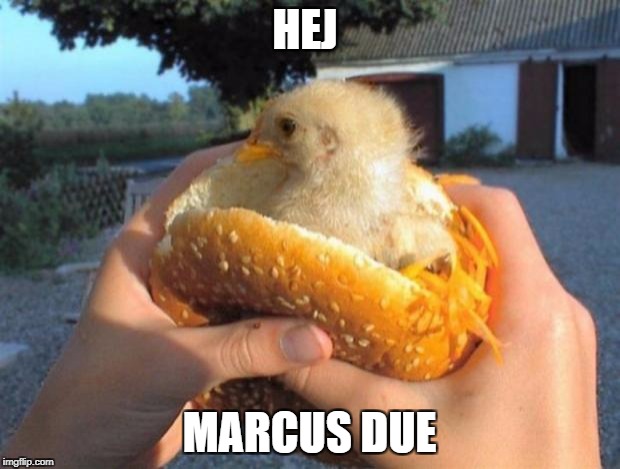 mcchicken mcpollo pollo chicken hamburguer hamburguesa | HEJ; MARCUS DUE | image tagged in mcchicken mcpollo pollo chicken hamburguer hamburguesa | made w/ Imgflip meme maker