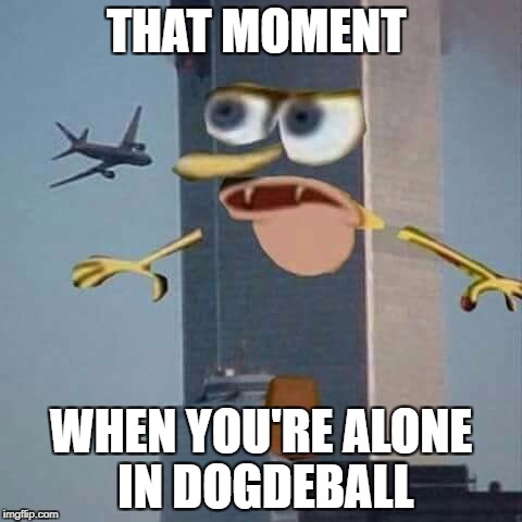 9/11 | THAT MOMENT; WHEN YOU'RE ALONE IN DOGDEBALL | image tagged in 9/11 | made w/ Imgflip meme maker