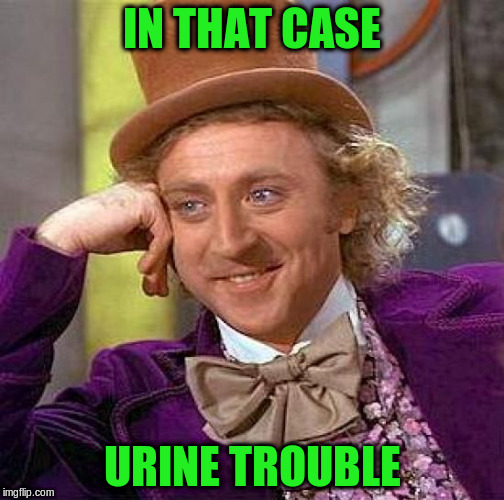 Creepy Condescending Wonka Meme | IN THAT CASE URINE TROUBLE | image tagged in memes,creepy condescending wonka | made w/ Imgflip meme maker