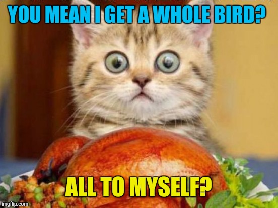 YOU MEAN I GET A WHOLE BIRD? ALL TO MYSELF? | made w/ Imgflip meme maker