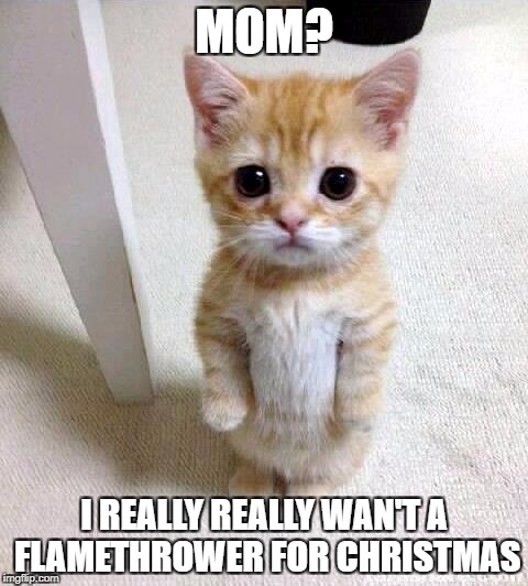 Cute Cat | MOM? I REALLY REALLY WAN'T A FLAMETHROWER FOR CHRISTMAS | image tagged in memes,cute cat | made w/ Imgflip meme maker