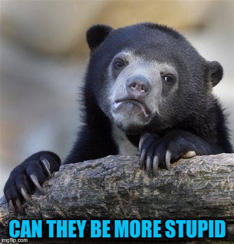 Confession Bear Meme | CAN THEY BE MORE STUPID | image tagged in memes,confession bear | made w/ Imgflip meme maker