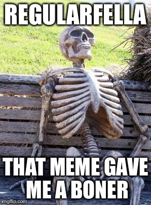 REGULARFELLA THAT MEME GAVE ME A BONER | image tagged in memes,waiting skeleton | made w/ Imgflip meme maker