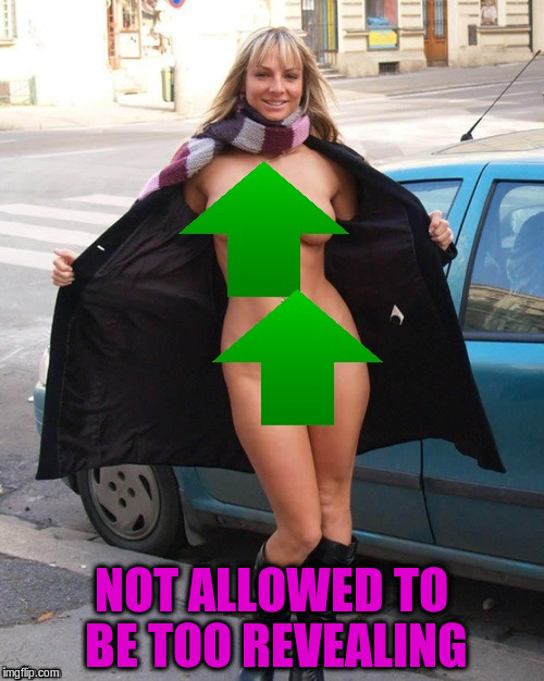 NOT ALLOWED TO BE TOO REVEALING | made w/ Imgflip meme maker