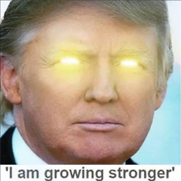 Im getting stronger tump Blank Meme Template