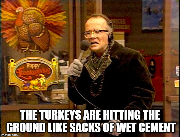 the turkeys are hitting the ground like sacks of wet cement | THE TURKEYS ARE HITTING THE GROUND LIKE SACKS OF WET CEMENT | image tagged in thanksgiving,turkeys | made w/ Imgflip meme maker