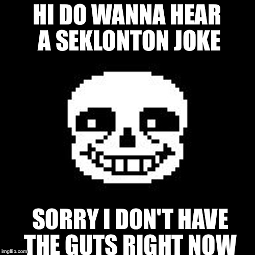 sans | HI DO WANNA HEAR A SEKLONTON JOKE; SORRY I DON'T HAVE THE GUTS RIGHT NOW | image tagged in sans | made w/ Imgflip meme maker