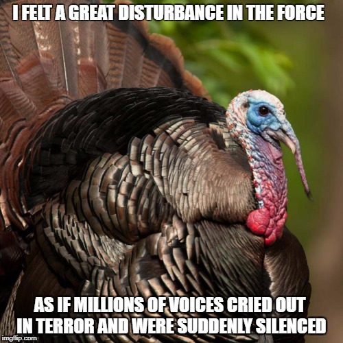 StuTurkey | I FELT A GREAT DISTURBANCE IN THE FORCE; AS IF MILLIONS OF VOICES CRIED OUT IN TERROR AND WERE SUDDENLY SILENCED | image tagged in stuturkey | made w/ Imgflip meme maker