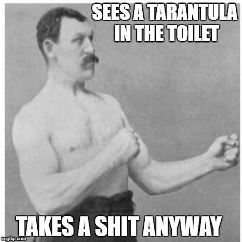 Overly Manly Man Meme | SEES A TARANTULA IN THE TOILET; TAKES A SHIT ANYWAY | image tagged in memes,overly manly man | made w/ Imgflip meme maker