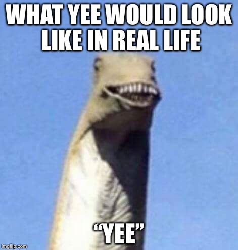 Yee in real life lol | WHAT YEE WOULD LOOK LIKE IN REAL LIFE; “YEE” | image tagged in dino yee,memes,yee,dinosaur | made w/ Imgflip meme maker