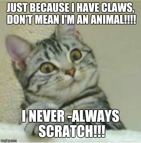 Cats | JUST BECAUSE I HAVE CLAWS, DON'T MEAN I'M AN ANIMAL!!!! I NEVER -ALWAYS SCRATCH!!! | image tagged in cats | made w/ Imgflip meme maker