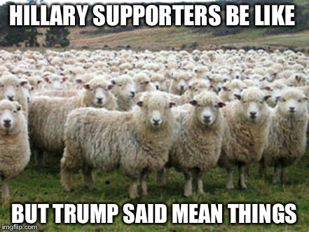 Hillary Supporters | HILLARY SUPPORTERS BE LIKE; BUT TRUMP SAID MEAN THINGS | image tagged in hillary supporters | made w/ Imgflip meme maker