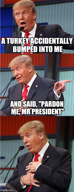 Bad Pun Trump | A TURKEY ACCIDENTALLY BUMPED INTO ME; AND SAID, "PARDON ME, MR PRESIDENT" | image tagged in bad pun trump | made w/ Imgflip meme maker