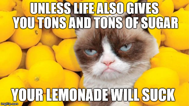 Grumpy Cat lemons | UNLESS LIFE ALSO GIVES YOU TONS AND TONS OF SUGAR; YOUR LEMONADE WILL SUCK | image tagged in grumpy cat lemons | made w/ Imgflip meme maker