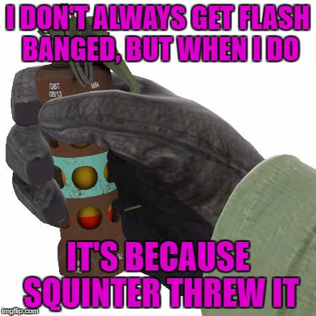 Flashbang | I DON'T ALWAYS GET FLASH BANGED, BUT WHEN I DO; IT'S BECAUSE SQUINTER THREW IT | image tagged in flashbang | made w/ Imgflip meme maker