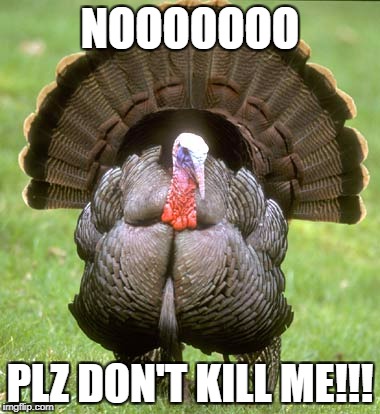 Turkey Meme | NOOOOOOO; PLZ DON'T KILL ME!!! | image tagged in memes,turkey | made w/ Imgflip meme maker