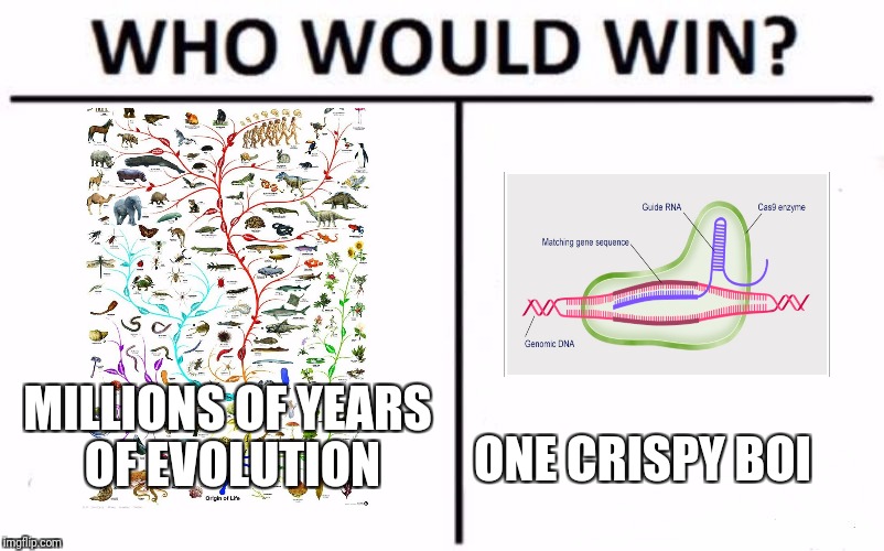 Who Would Win? Meme | ONE CRISPY BOI; MILLIONS OF YEARS OF EVOLUTION | image tagged in who would win | made w/ Imgflip meme maker