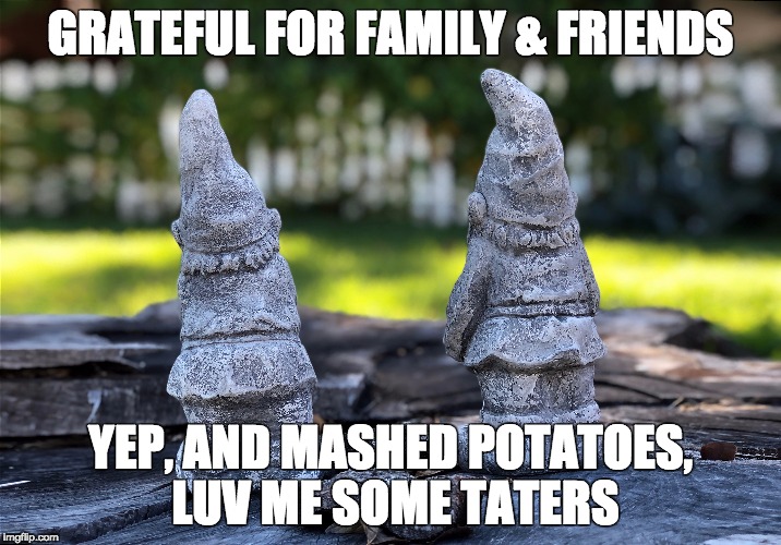 GRATEFUL FOR FAMILY & FRIENDS; YEP, AND MASHED POTATOES, LUV ME SOME TATERS | image tagged in 2 gnomes gazing | made w/ Imgflip meme maker