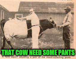 THAT COW NEED SOME PANTS | made w/ Imgflip meme maker