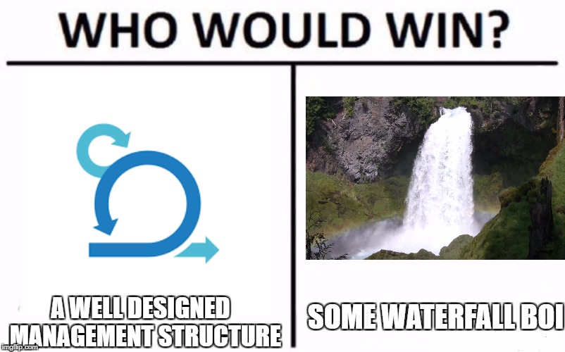 Who Would Win? Meme | A WELL DESIGNED 
MANAGEMENT STRUCTURE; SOME WATERFALL BOI | image tagged in who would win | made w/ Imgflip meme maker