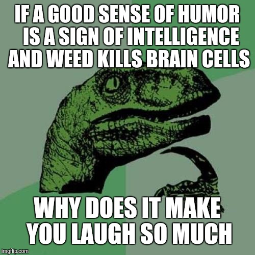 Philosoraptor Meme | IF A GOOD SENSE OF HUMOR  IS A SIGN OF INTELLIGENCE AND WEED KILLS BRAIN CELLS; WHY DOES IT MAKE YOU LAUGH SO MUCH | image tagged in memes,philosoraptor | made w/ Imgflip meme maker