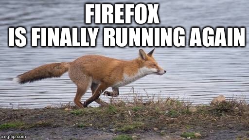 It’s good news | FIREFOX; IS FINALLY RUNNING AGAIN | image tagged in firefox | made w/ Imgflip meme maker