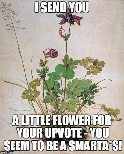 I SEND YOU A LITTLE FLOWER FOR YOUR UPVOTE - YOU SEEM TO BE A SMARTA*S! | made w/ Imgflip meme maker