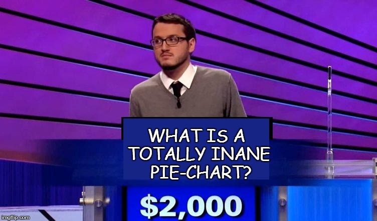 WHAT IS A TOTALLY INANE  PIE-CHART? | made w/ Imgflip meme maker
