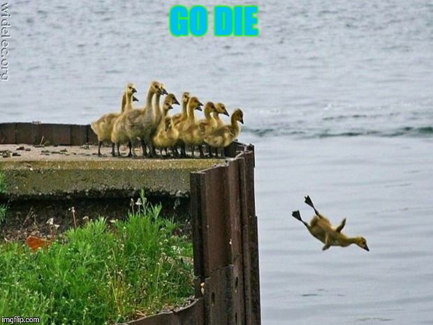 baby ducks | GO DIE | image tagged in baby ducks | made w/ Imgflip meme maker